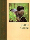 Ruffed Grouse - Book