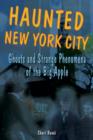 Haunted New York City : Ghosts and Strange Phenomena of the Big Apple - Book