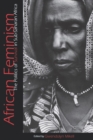 African Feminism : The Politics of Survival in Sub-Saharan Africa - eBook