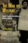 The War on Welfare : Family, Poverty, and Politics in Modern America - eBook