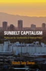 Sunbelt Capitalism : Phoenix and the Transformation of American Politics - eBook