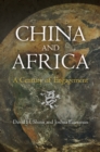China and Africa : A Century of Engagement - eBook