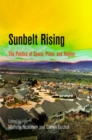 Sunbelt Rising : The Politics of Space, Place, and Region - eBook