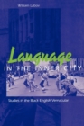 Language in the Inner City : Studies in the Black English Vernacular - Book