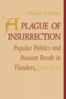 A Plague of Insurrection : Popular Politics and Peasant Revolt in Flanders, 1323-1328 - Book