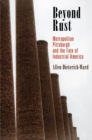 Beyond Rust : Metropolitan Pittsburgh and the Fate of Industrial America - Book