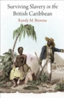 Surviving Slavery in the British Caribbean - Book