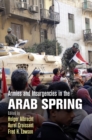 Armies and Insurgencies in the Arab Spring - eBook