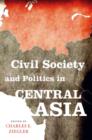 Civil Society and Politics in Central Asia - eBook