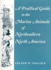 A Practical Guide to the Marine Animals of Northeastern North America - Book