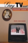 Gay TV and Straight America - Book