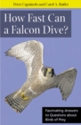 How Fast Can A Falcon Dive? : Fascinating Answers to Questions about Birds of Prey - Book