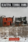 Beautiful Terrible Ruins : Detroit and the Anxiety of Decline - eBook