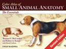 Color Atlas of Small Animal Anatomy : The Essentials - Book