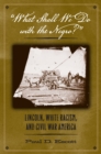"What Shall We Do with the Negro?" : Lincoln, White Racism, and Civil War America - eBook