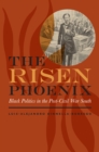 The Risen Phoenix : Black Politics in the Post-Civil War South - eBook