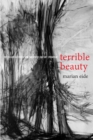 Terrible Beauty : The Violent Aesthetic and Twentieth-Century Literature - eBook