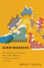 Gerrymanders : How Redistricting Has Protected Slavery, White Supremacy, and Partisan Minorities in Virginia - eBook