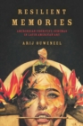 Resilient Memories : Amerindian Cognitive Schemas in Latin American Art - eBook