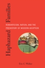 Haphazard Families : Romanticism, Nation, and the Prehistory of Modern Adoption - eBook