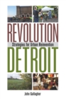 Revolution Detroit : Strategies for Urban Reinvention - eBook