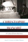 Christophe Honore : A Critical Introduction - eBook
