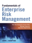 Fundamentals of Enterprise Risk Management : How Top Companies Assess Risk, Manage Exposure, and Seize Opportunity - eBook