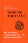 Fanning the Flame : What Does Baptism in the Holy Spirit Have to Do with Christian Initiation? - eBook