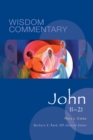 John 11-21 - eBook