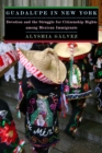 Guadalupe in New York : Devotion and the Struggle for Citizenship Rights among Mexican Immigrants - Book