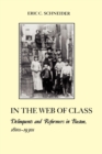 In the Web of Class : Delinquents and Reformers in Boston, 1810s-1930s - Book