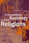 A Comparative Sociology of World Religions : Virtuosi, Priests, and Popular Religion - Book