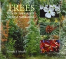 Trees of New York State : Native and Naturalized - Book