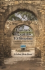 Emirate, Egyptian, Ethiopian : Colonial Experiences in Late Nineteenth-Century Harar - Book