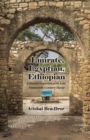 Emirate, Egyptian, Ethiopian : Colonial Experiences in Late Nineteenth-Century Harar - eBook