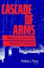 Cascade of Arms : Managing Conventional Weapons Proliferation - eBook