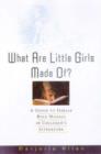 What are Little Girls Made of? : A Guide to Female Role Models in Children's Literature - Book