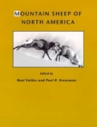 Mountain Sheep of North America - Book