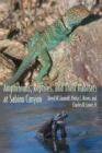 Amphibians, Reptiles, and Their Habitats at Sabino Canyon - Book