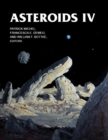 Asteroids IV - Book