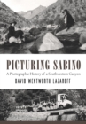 Picturing Sabino : A Photographic History of a Southwestern Canyon - Book