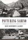 Picturing Sabino : A Photographic History of a Southwestern Canyon - eBook