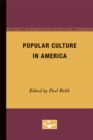Popular Culture in America - Book