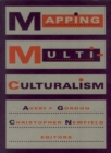 Mapping Multiculturalism - Book