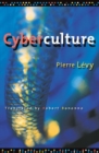 Cyberculture - Book