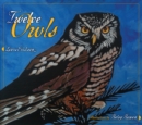 Twelve Owls - Book