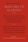 Sketches of Alabama - eBook