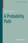A Probability Path - Book