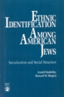 Ethnic Identification Among American Jews : Socialization and Social Structure - Book