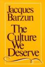 The Culture We Deserve - Book